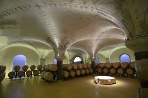 "Wine cellar in Valpolicella"