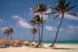 "Beach in Punta Cana"